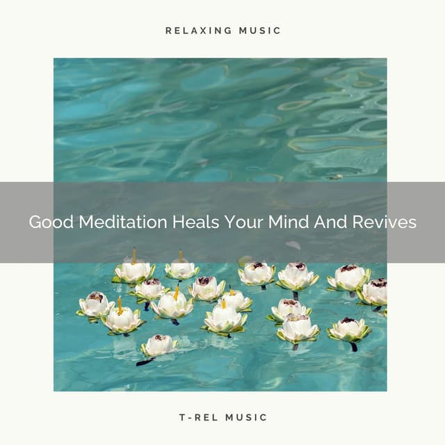 Good Meditation Heals Your Mind And Revives