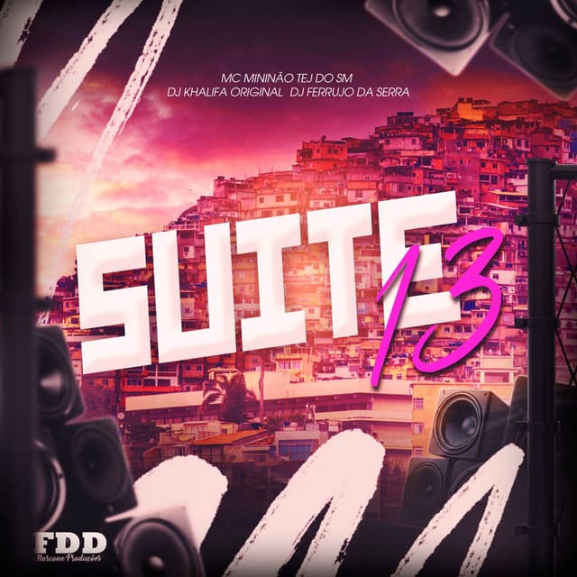 Suite 13