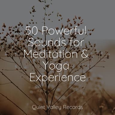 50 Powerful Sounds for Meditation & Yoga Experience