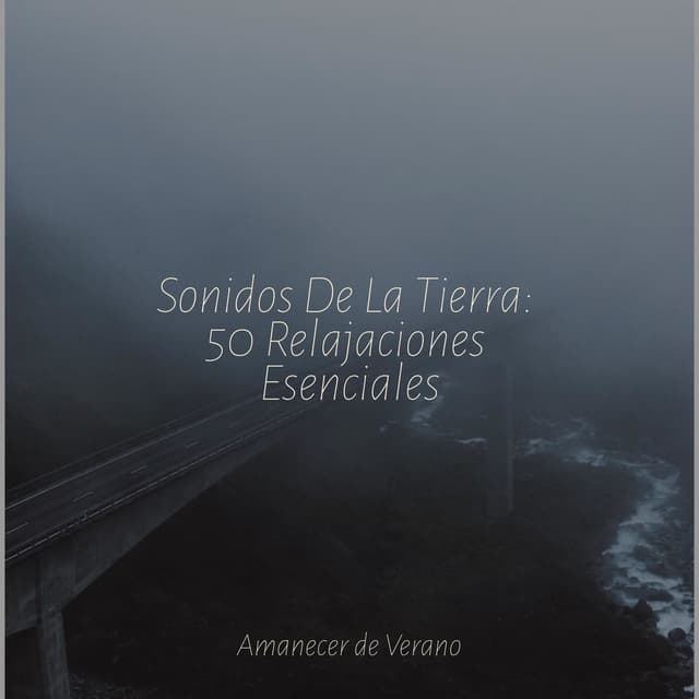 Sonidos De La Tierra: 50 Relajaciones Esenciales