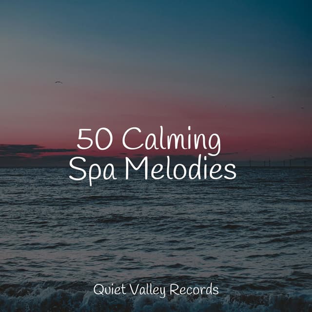 50 Calming Spa Melodies
