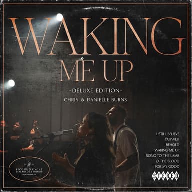 Waking Me Up (Deluxe Edition) (Live)