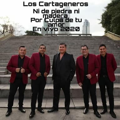 Ni de piedra ni madera/ Por culpa de tu amor En vivo (En vivo)