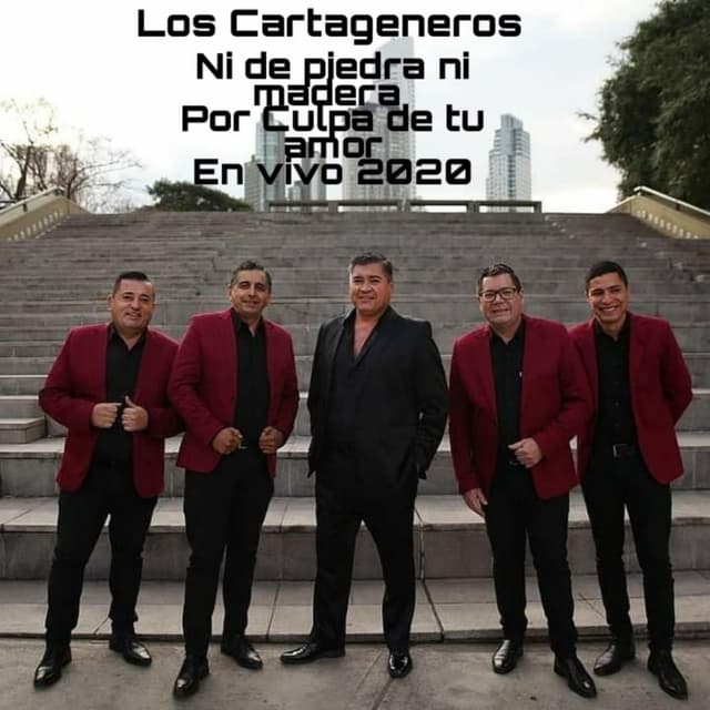 Ni de piedra ni madera/ Por culpa de tu amor En vivo