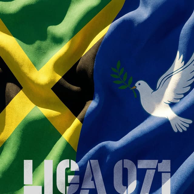 LIGA 071
