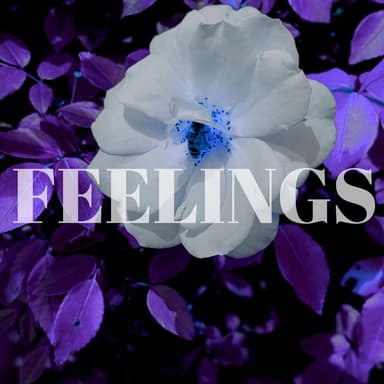 FEELINGS (Instrumental Versions)