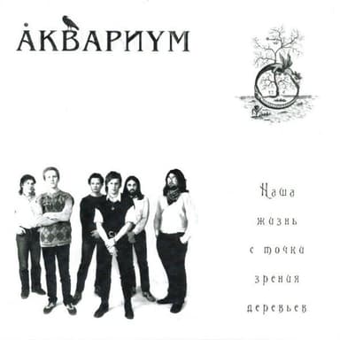 Наша Жизнь С Точки Зрения Деревьев