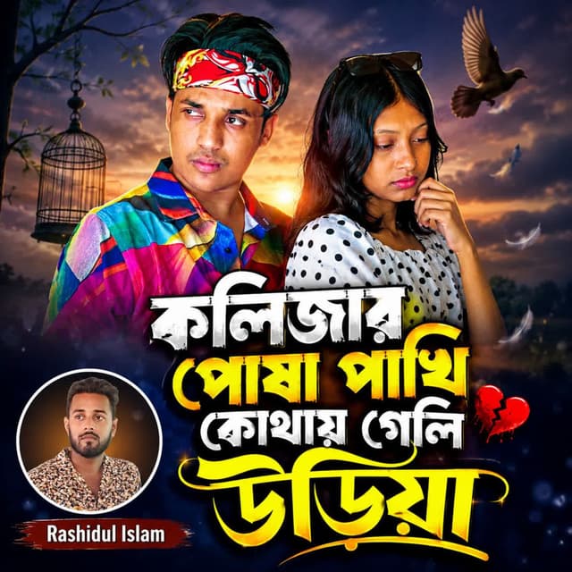 Kolijar Pusha Pakhi Kothay Geli Uriya