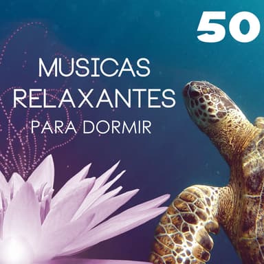 Asia Meditação