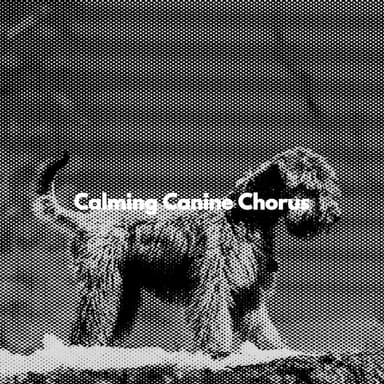 Calming Canine Chorus