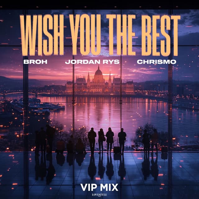Wish You The Best (VIP Mix)