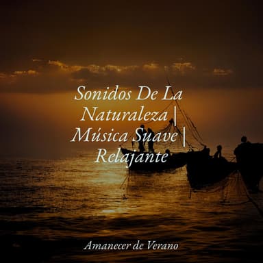 Sonidos De La Naturaleza | Música Suave | Relajante
