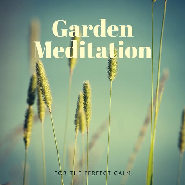 Garden Meditation For the Perfect Calm