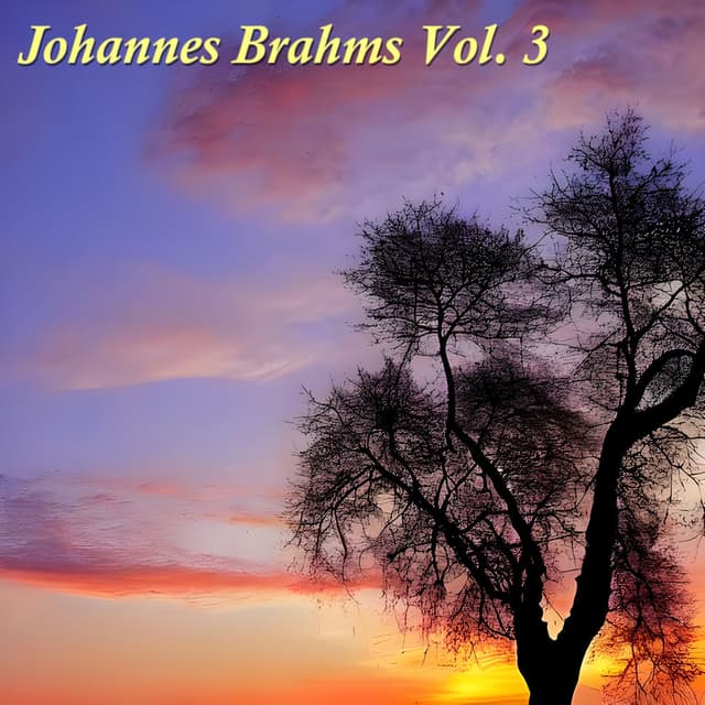 Johannes Brahms, Vol. 3
