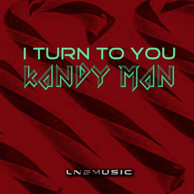 I Turn To You