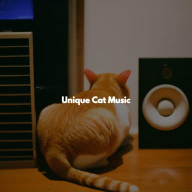 Unique Cat Music