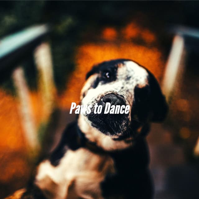 Paws to Dance