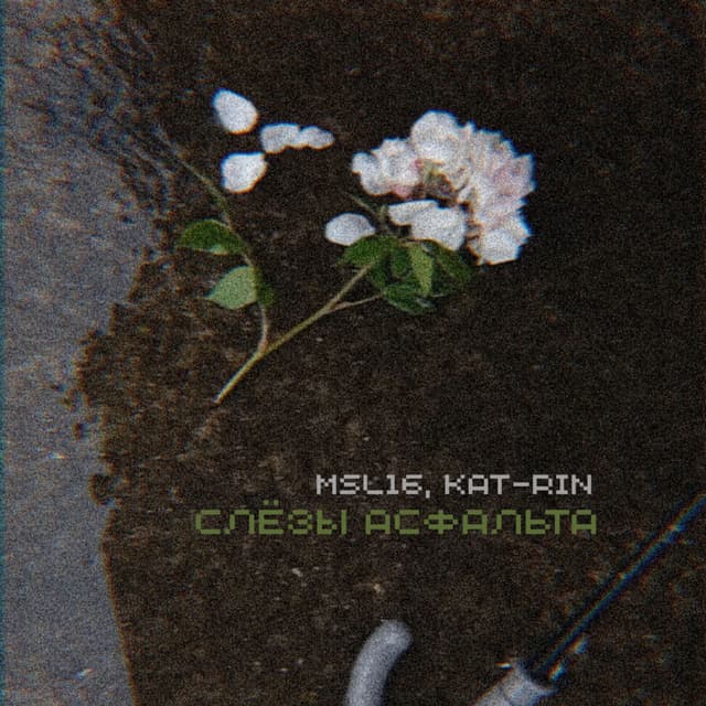 Слезы асфальта