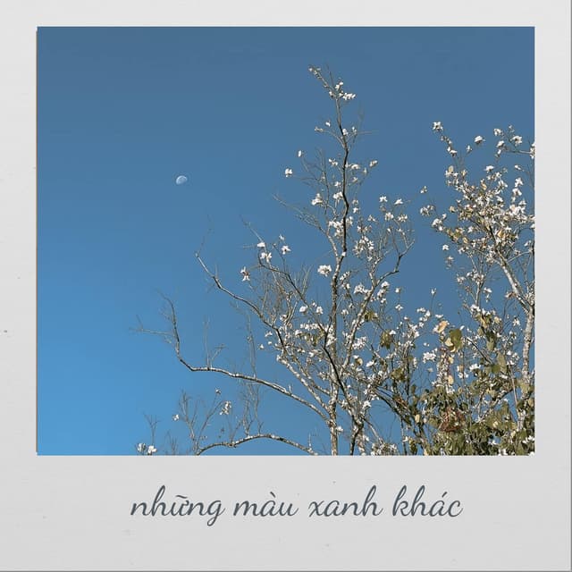 Những Màu Xanh Khác