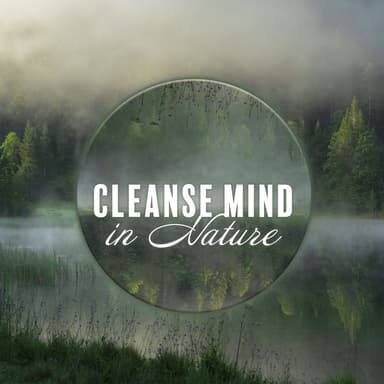 Cleanse Mind in Nature: Soothing Nature Music Ambience