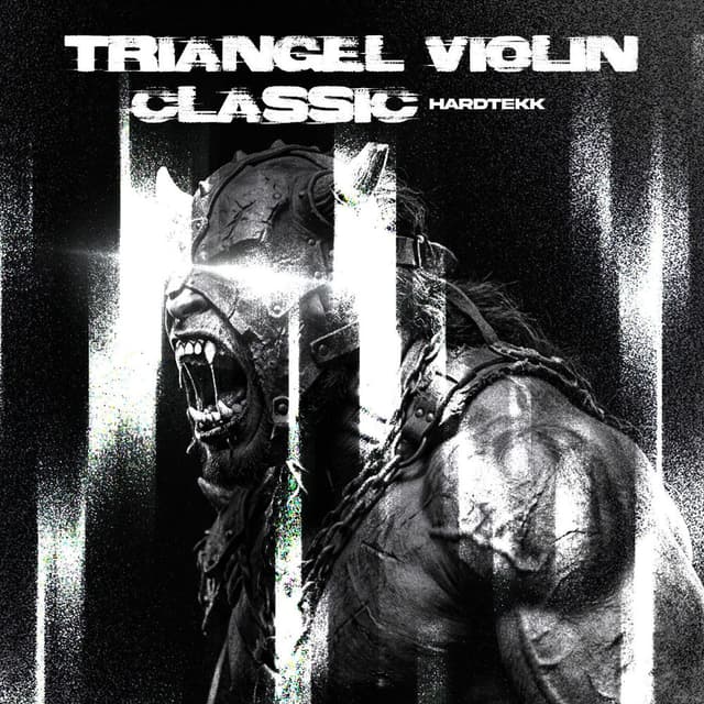 TRIANGEL VIOLIN CLASSIC (HARDTEKK)
