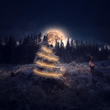 Under the First Star’s Spell