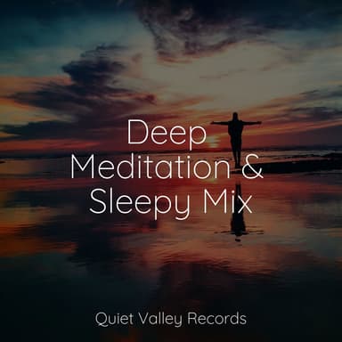 Deep Meditation & Sleepy Mix