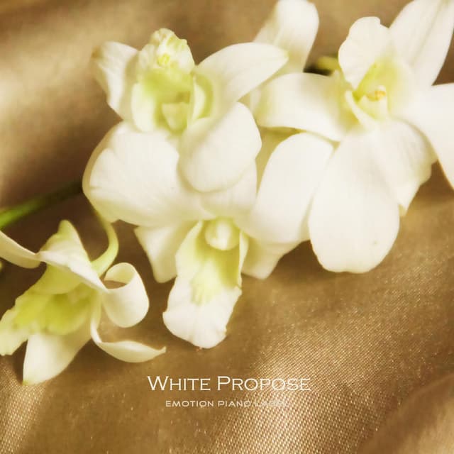 White Propose
