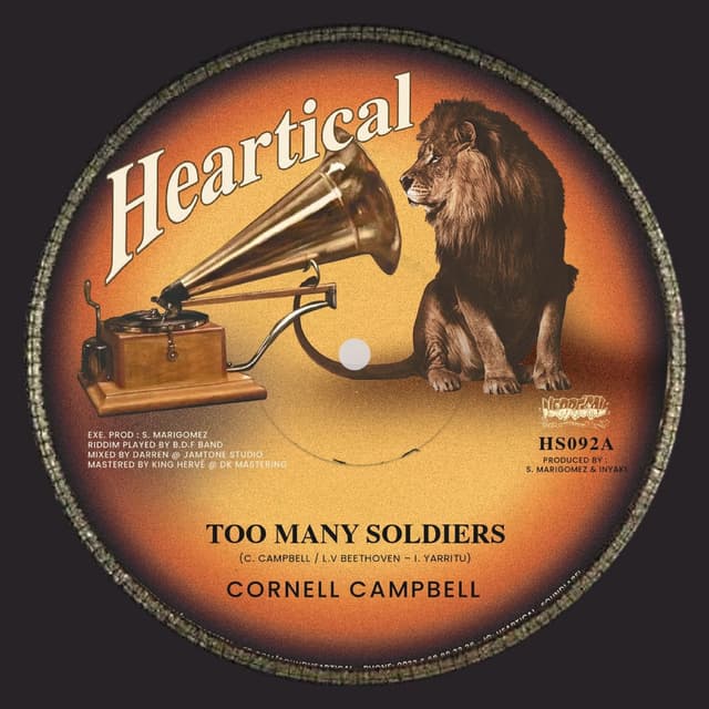 Too Many Soldiers