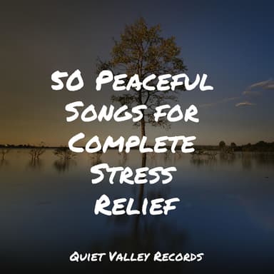 50 Peaceful Songs for Complete Stress Relief