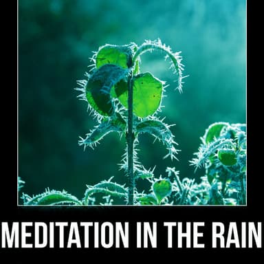 Meditation in the Rain - Ocean Sounds for Yoga & Meditation, Water Sounds for Relaxation, Singing Birds for Spa
