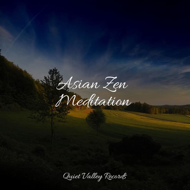 Asian Zen Meditation