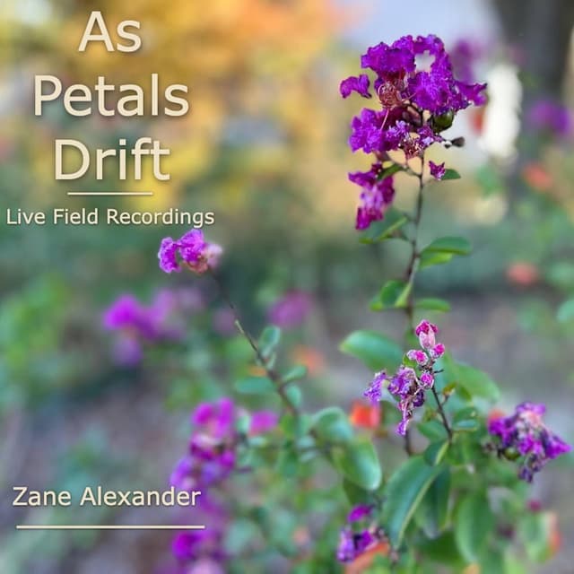 As Petals Drift: Live Field Recordings