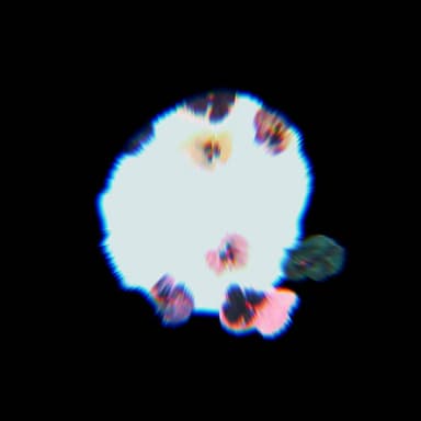 harvard (feat. Loverboy Eazy & Bryan Ghee)