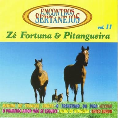 Encontros Sertanejos - Zé fortuna & Pitangueira Vol. 11