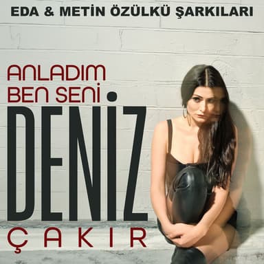 Anladım Ben Seni (Eda & Metin Özülkü Şarkıları)
