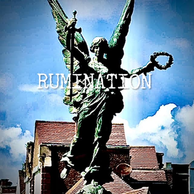 RUMINATION