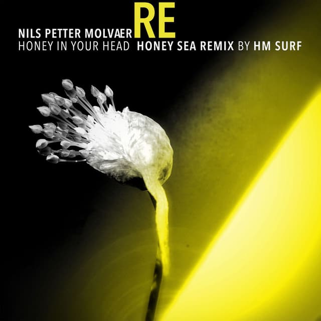 Honey in Your Head (Honey Sea Remix by HM Surf)