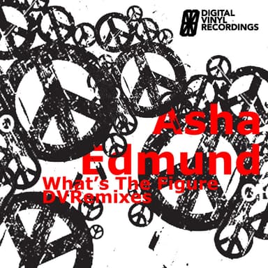 What's The Figure (The DVRemixes)