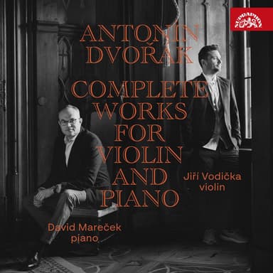 Sonata for Violin and Piano in F Major, Op. 57, B. 106: I. Allegro, ma non troppo