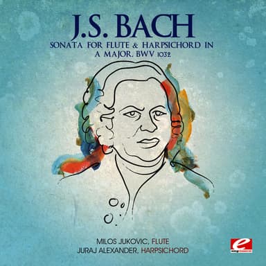Sonata for Flute & Harpsichord in A Major, BWV 1032: Largo e dolce