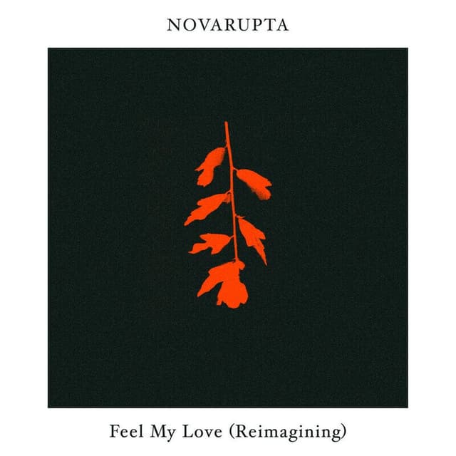 Feel My Love (Novarupta Reimagining)