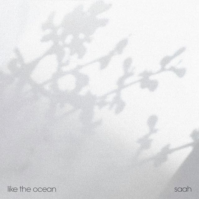 like the ocean