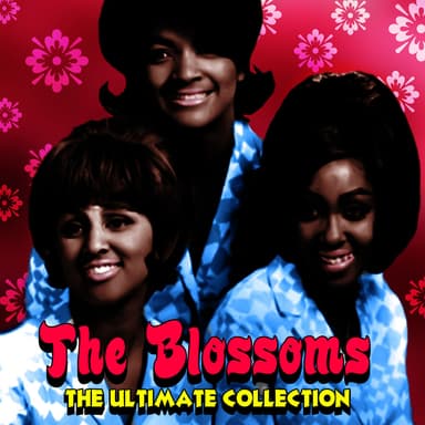 The Ultimate Collection