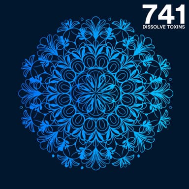 741 Hz Dissolve Toxins