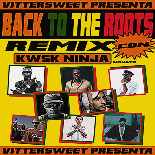 Back To The Roots (Remix)