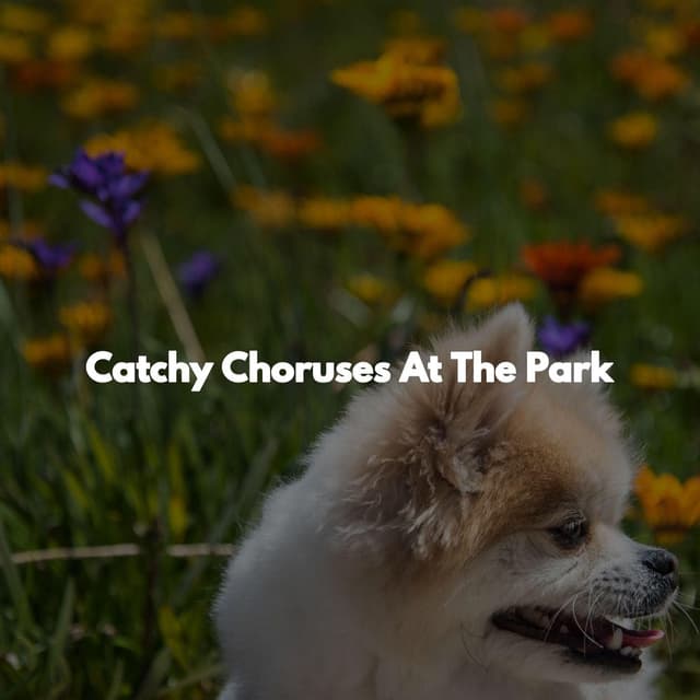 Catchy Choruses At The Park
