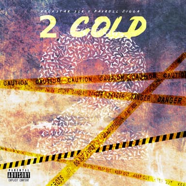2 Cold (feat. Rockstar Slr & Payroll Jigga)