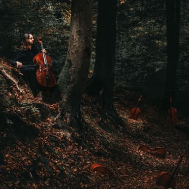 The Cello's Maple Waves