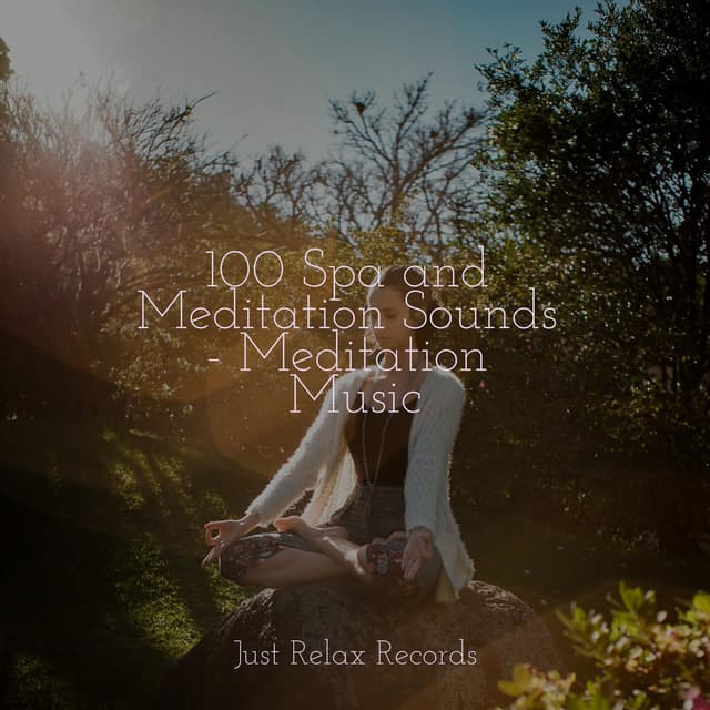 100 Spa and Meditation Sounds - Meditation Music
